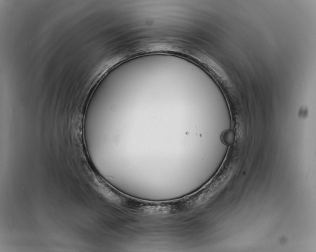 X0000100970793200807151350