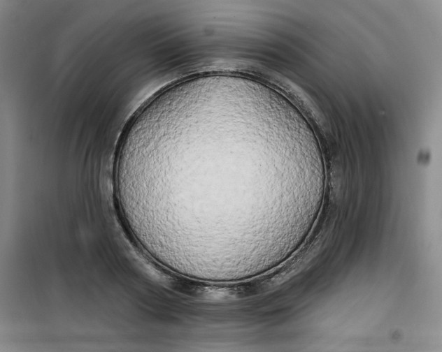 X0000100970794200807151350