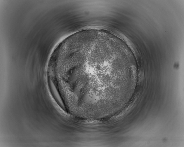 X0000100970795200807151350