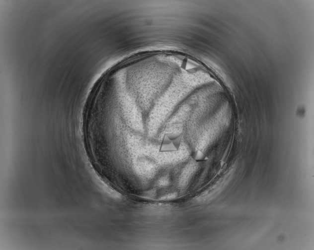 X0000100970797200807151350