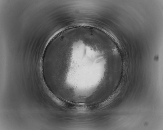 X0000100970798200807151350