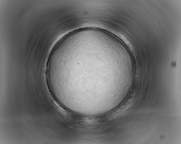 X0000100970799200807151350
