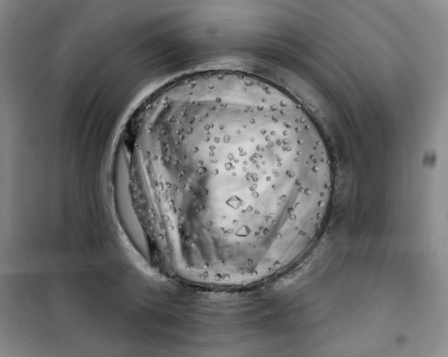X0000100970800200807151350