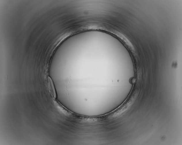 X0000100970801200807151350