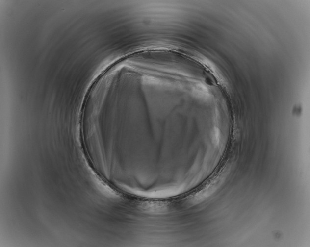 X0000100970802200807151350