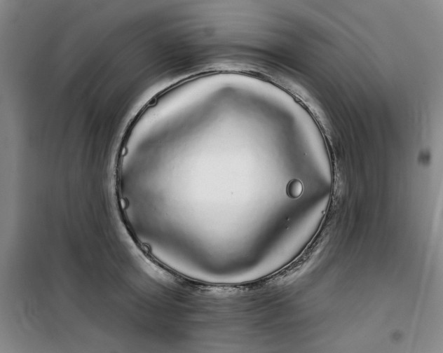 X0000100970803200807151350