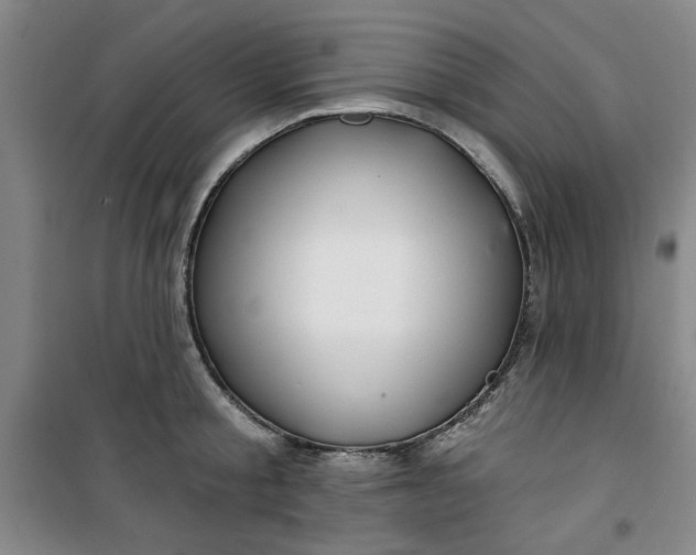 X0000100970805200807151350