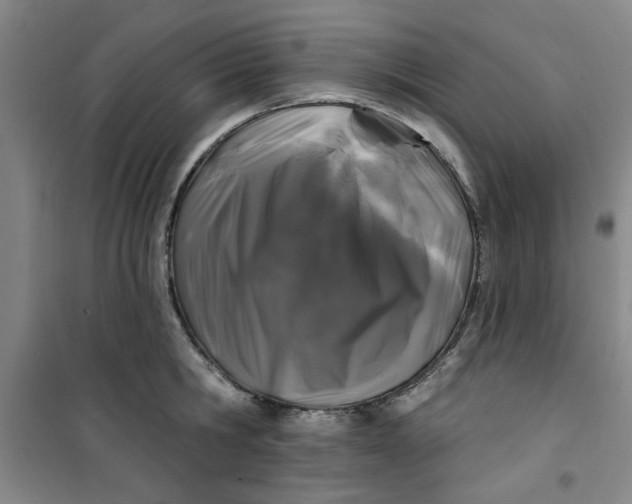 X0000100970806200807151350