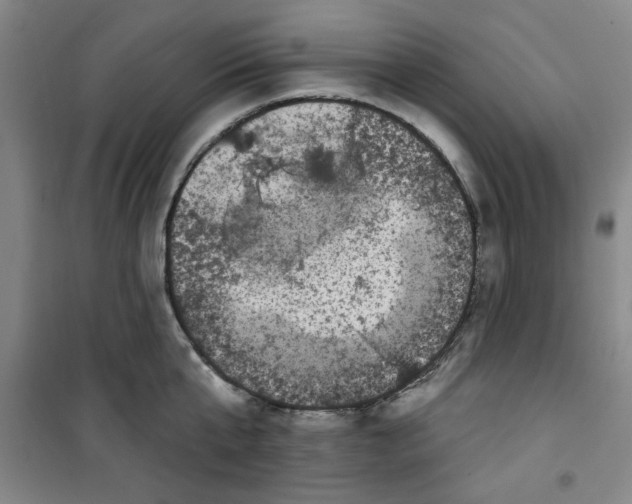 X0000100970807200807151350