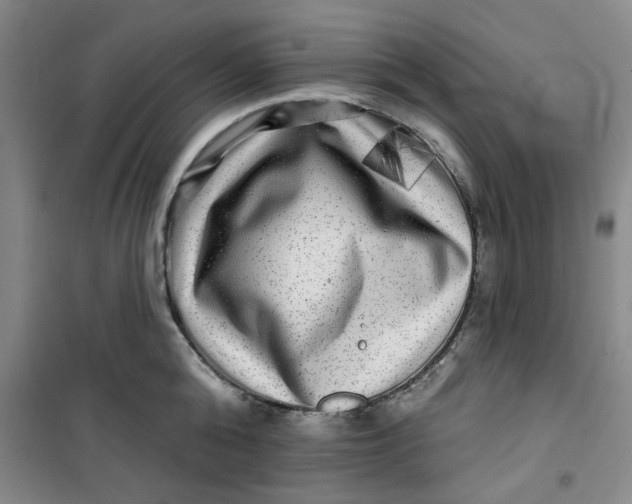 X0000100970808200807151350