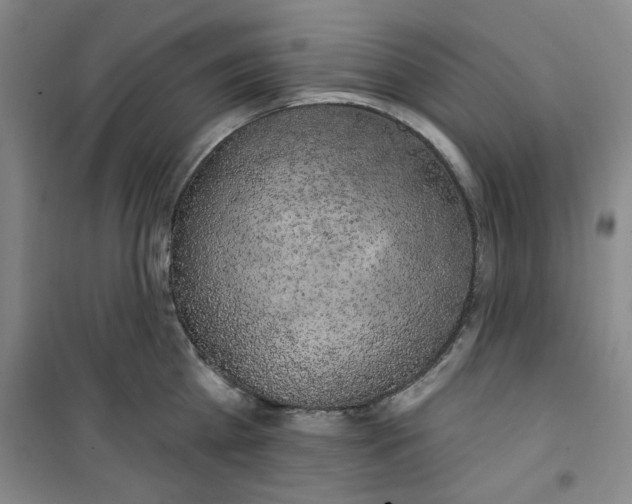 X0000100970809200807151350