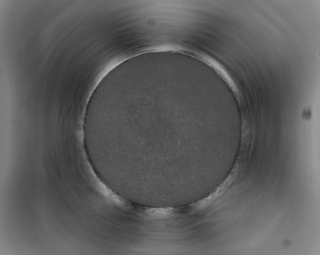 X0000100970810200807151350