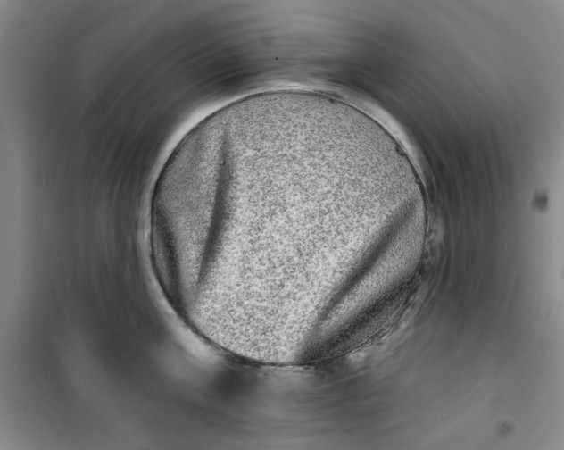 X0000100970811200807151350