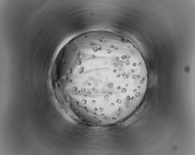 X0000100970812200807151350