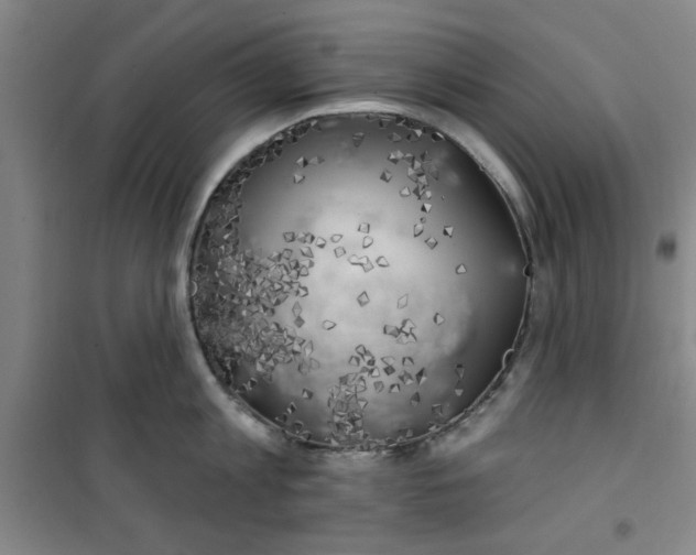 X0000100970813200807151350