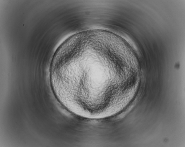 X0000100970814200807151350