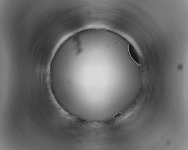X0000100970815200807151350