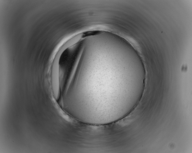 X0000100970816200807151350