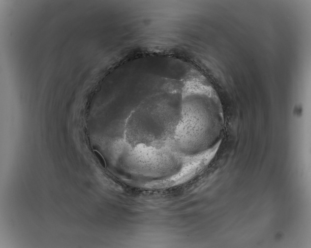 X0000100970817200807151349