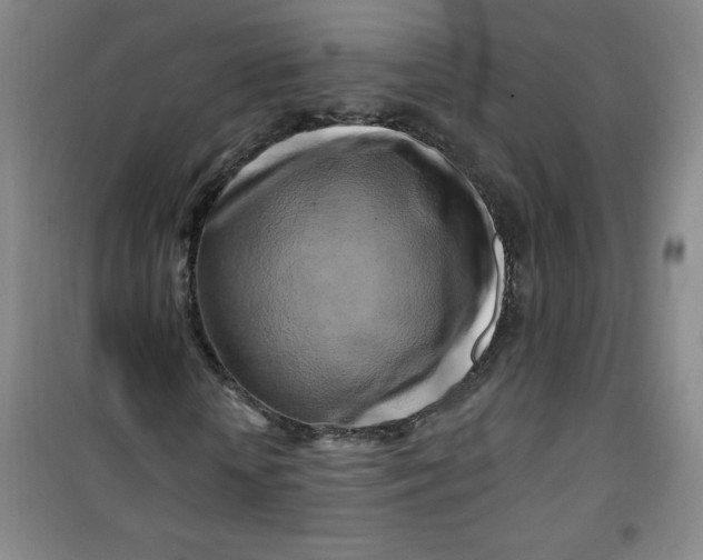 X0000100970818200807151349