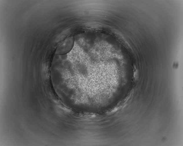 X0000100970819200807151349