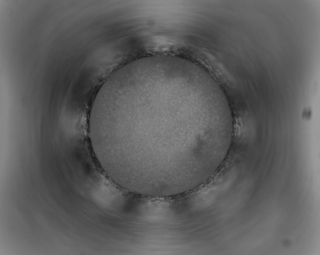 X0000100970820200807151349
