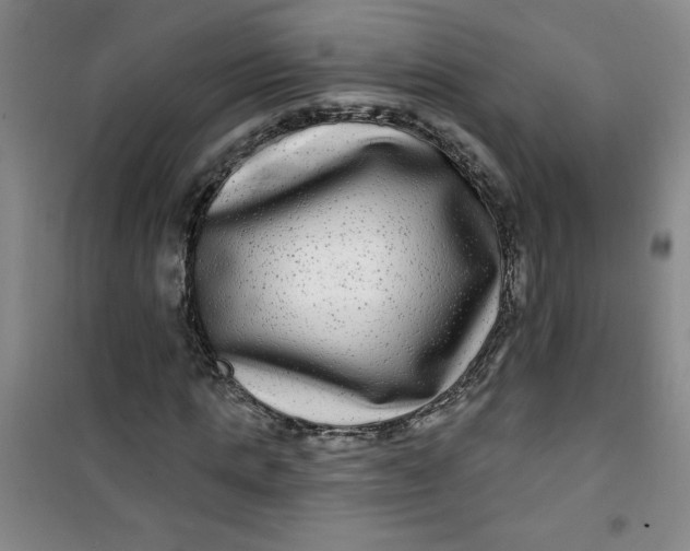X0000100970821200807151349