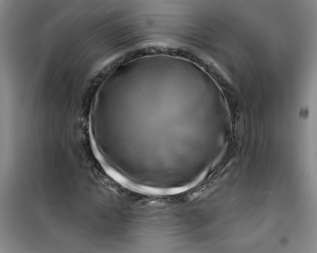 X0000100970822200807151349