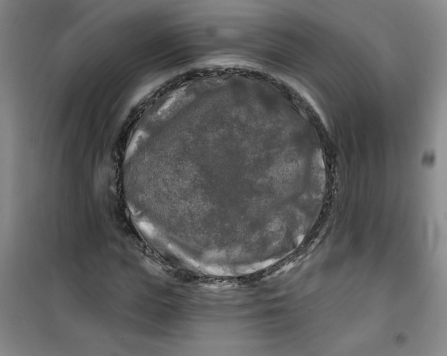 X0000100970823200807151349