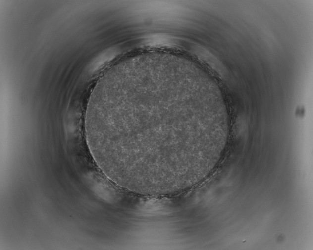 X0000100970824200807151349
