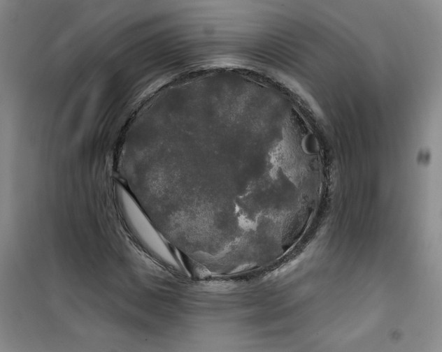 X0000100970825200807151349