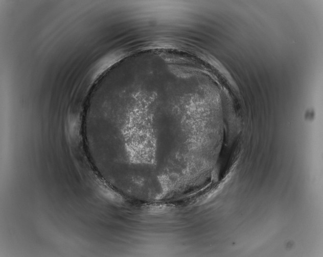 X0000100970826200807151349