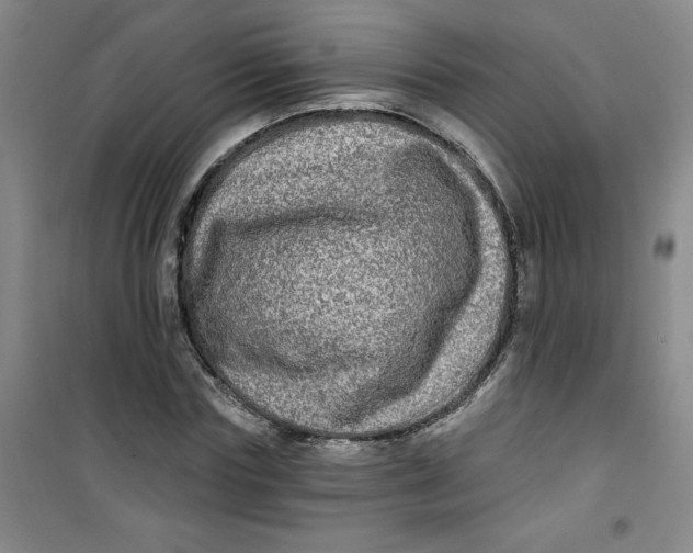X0000100970827200807151349
