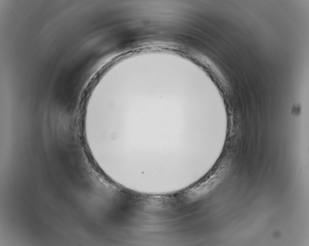 X0000100970828200807151349