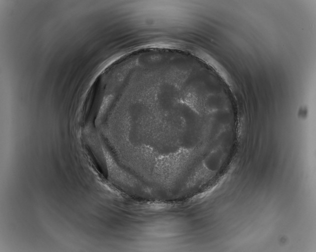 X0000100970829200807151349