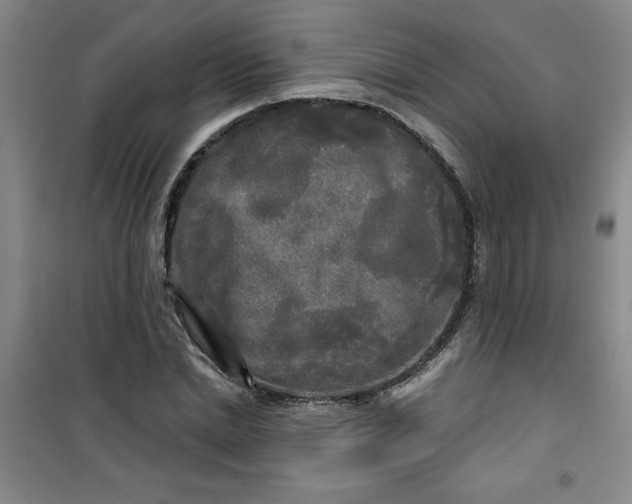 X0000100970830200807151349