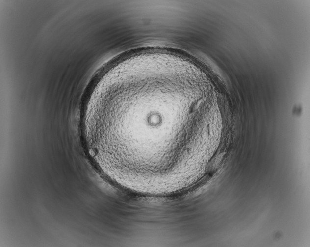 X0000100970831200807151349