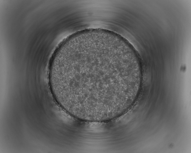 X0000100970832200807151349