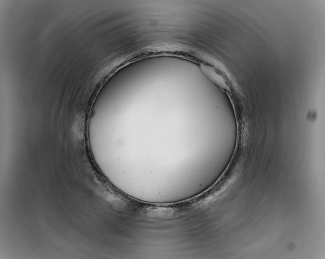 X0000100970833200807151349