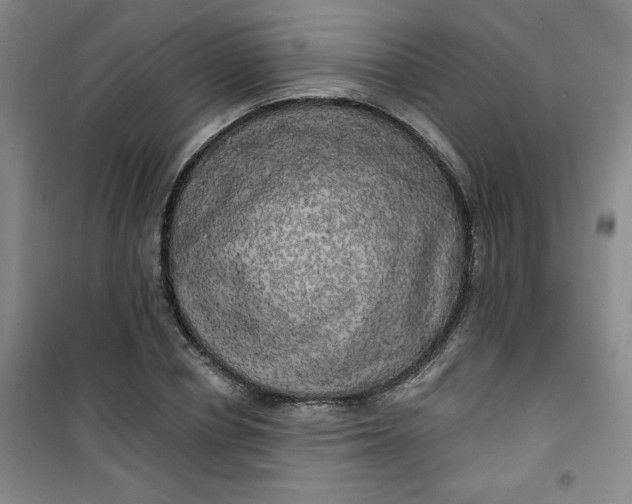 X0000100970834200807151349