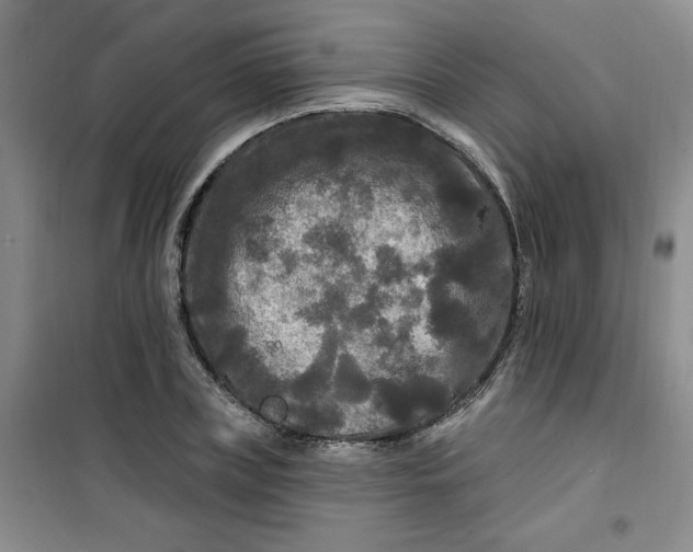X0000100970835200807151349