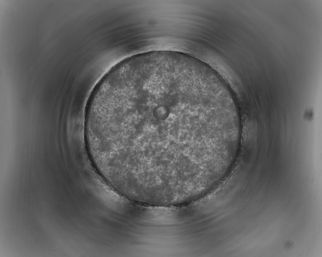 X0000100970836200807151349