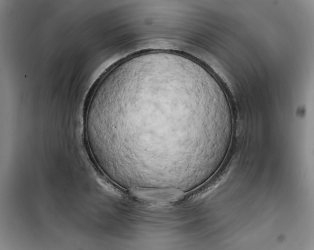 X0000100970837200807151349
