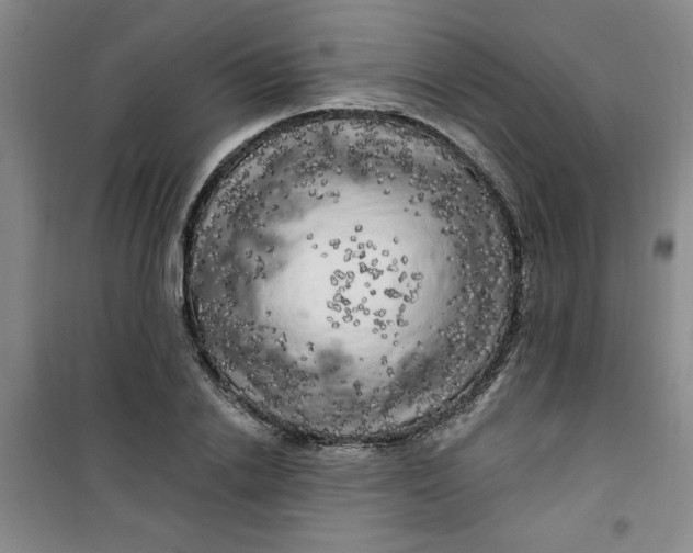 X0000100970838200807151349