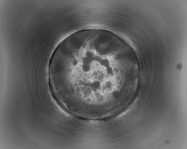 X0000100970839200807151349