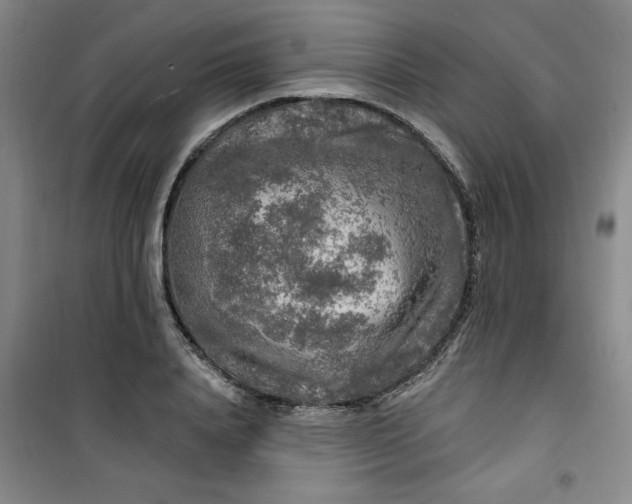 X0000100970840200807151349