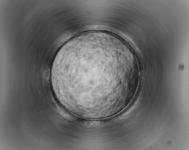 X0000100970841200807151349