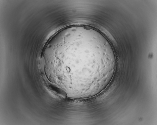 X0000100970842200807151349