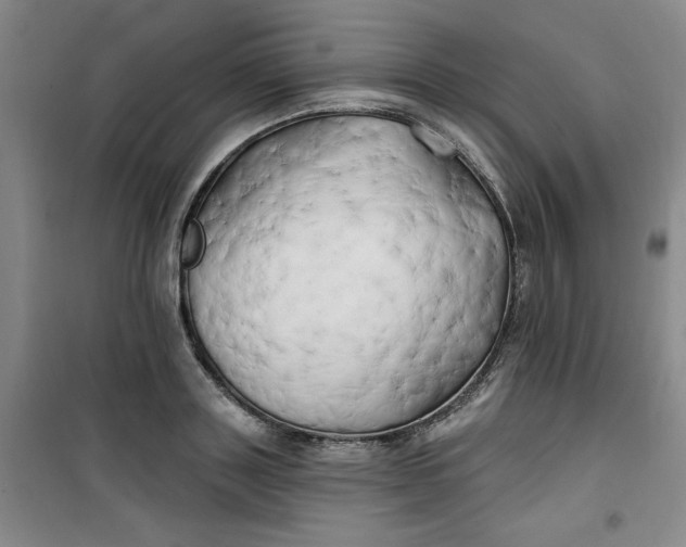 X0000100970843200807151349