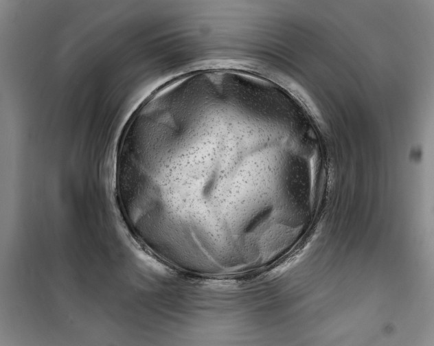 X0000100970844200807151349